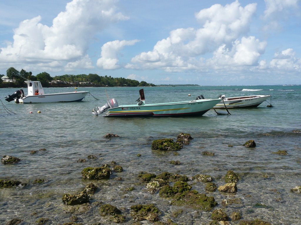 Dernier bassin de la plage de Roseau by felix francois