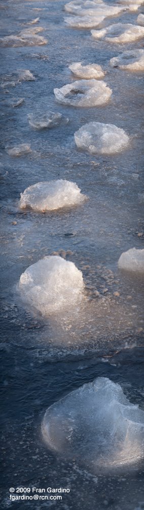 Charles River Ice Pads by Fran Gardino