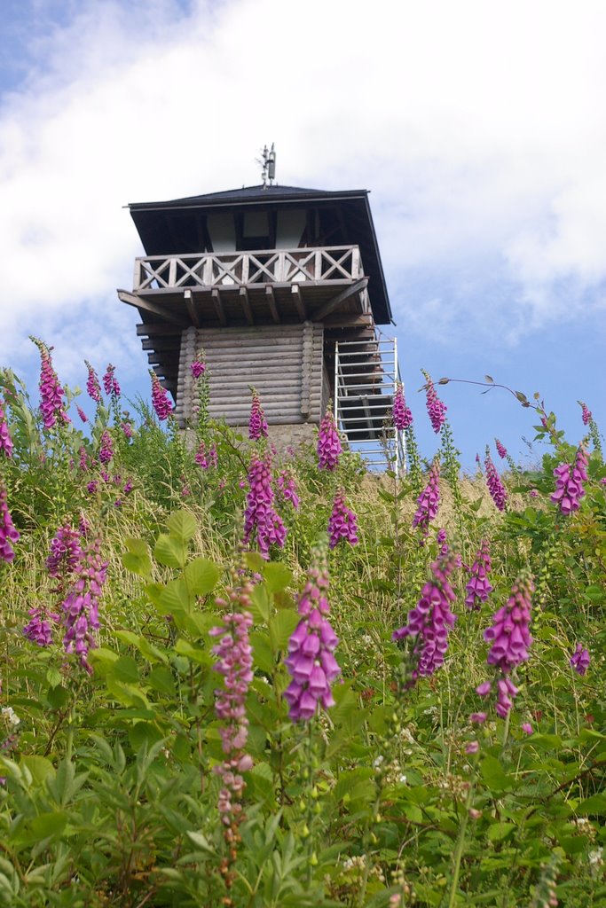 Der Römerturm auf dem Großen Kopf by Wehre-Taler