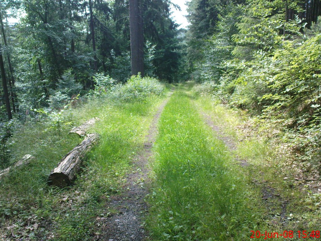 Waldweg bei Arzbach by Wehre-Taler