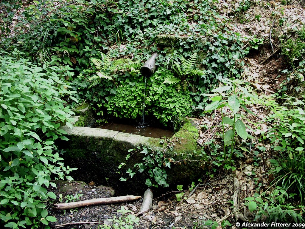 Brunnen bei der Kreuzweghütte, Staatswald Rotenfels, Westhang des Kübelberges by fittererfamily