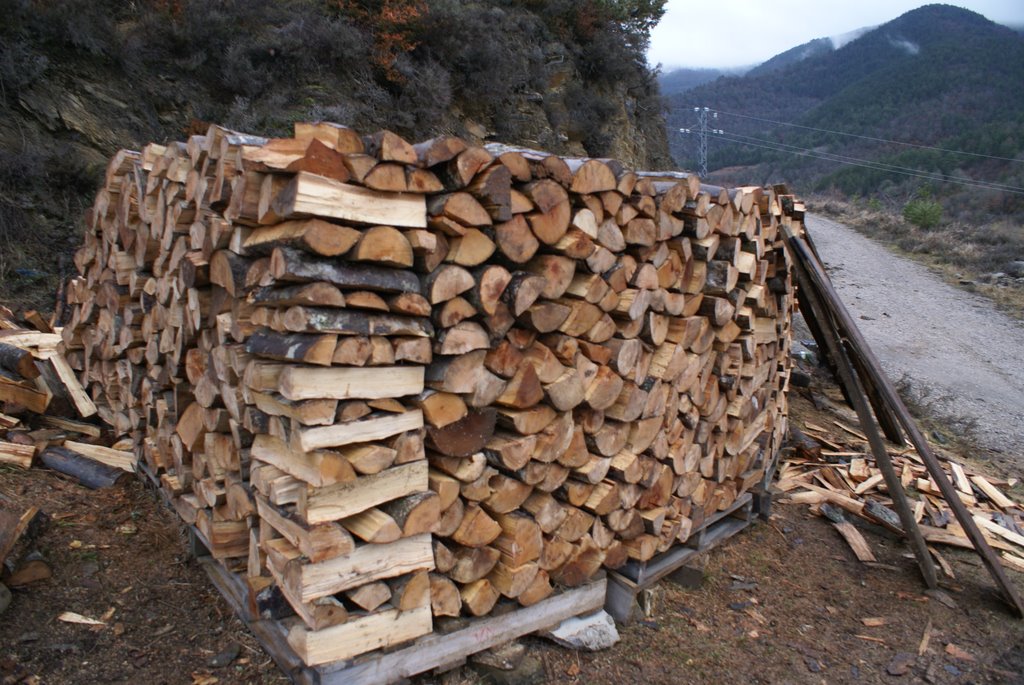 Bien preparados para el invierno by Roberto Pérez De Car…