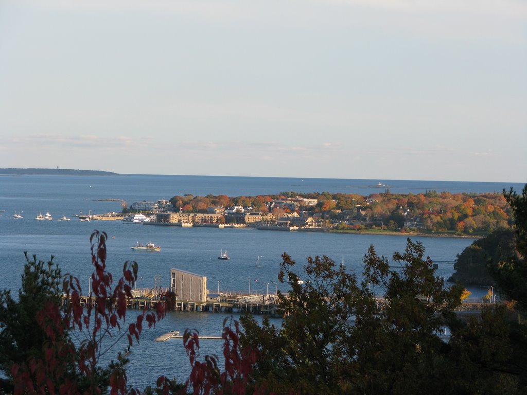 Bar Harbour as seen from Acadia Nat'l park by candjfields