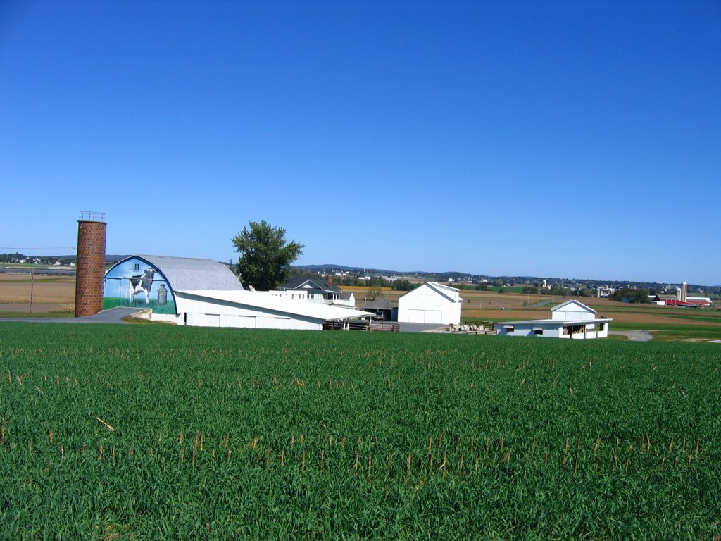 Cow Barn by perkins4