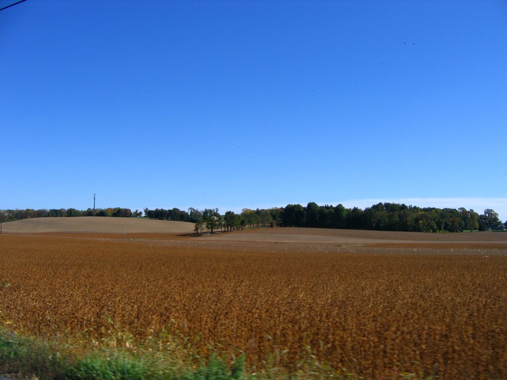 Rural Field by perkins4