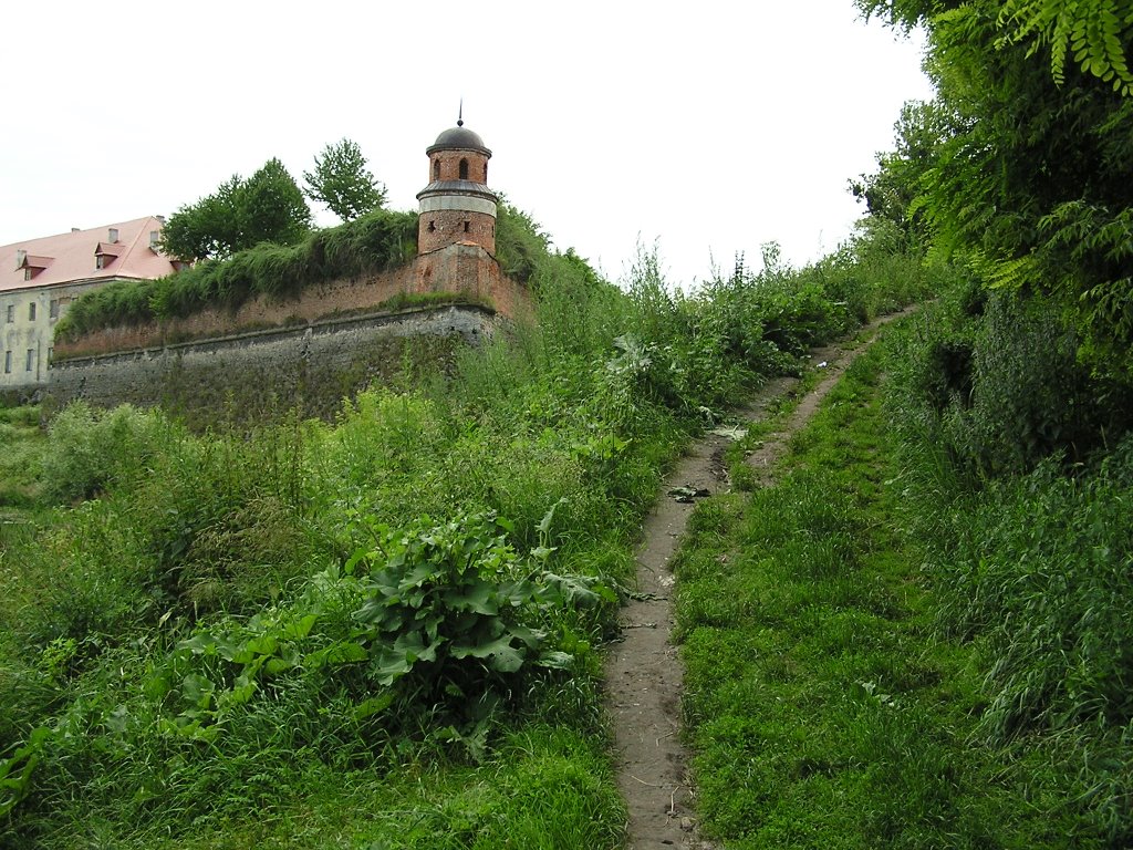 Центр, Дубно, Рівненська область, Ukraine by Saul_nsk