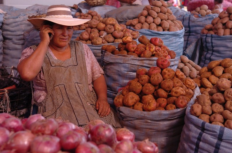 Santa Cruz, Santa Cruz de la Sierra, Bolivia by M!chel Desroches