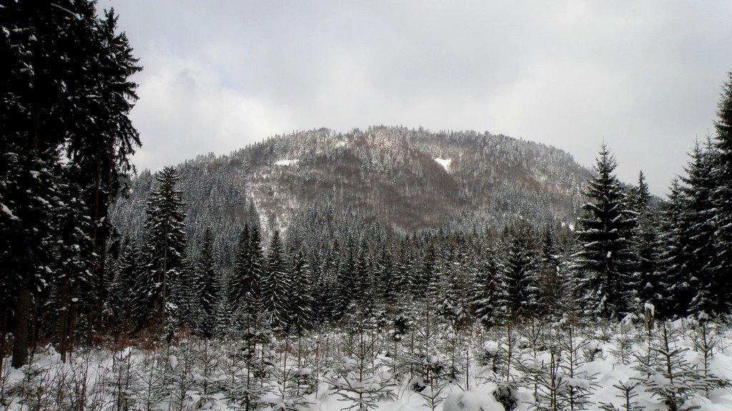 Liptovská Lúžna, Slovakia by Peter Grman