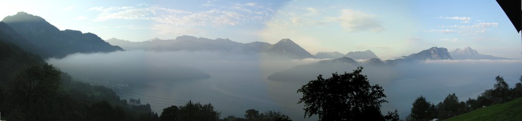 Morgennebel am Vierwaldstättersee by NGL-engel