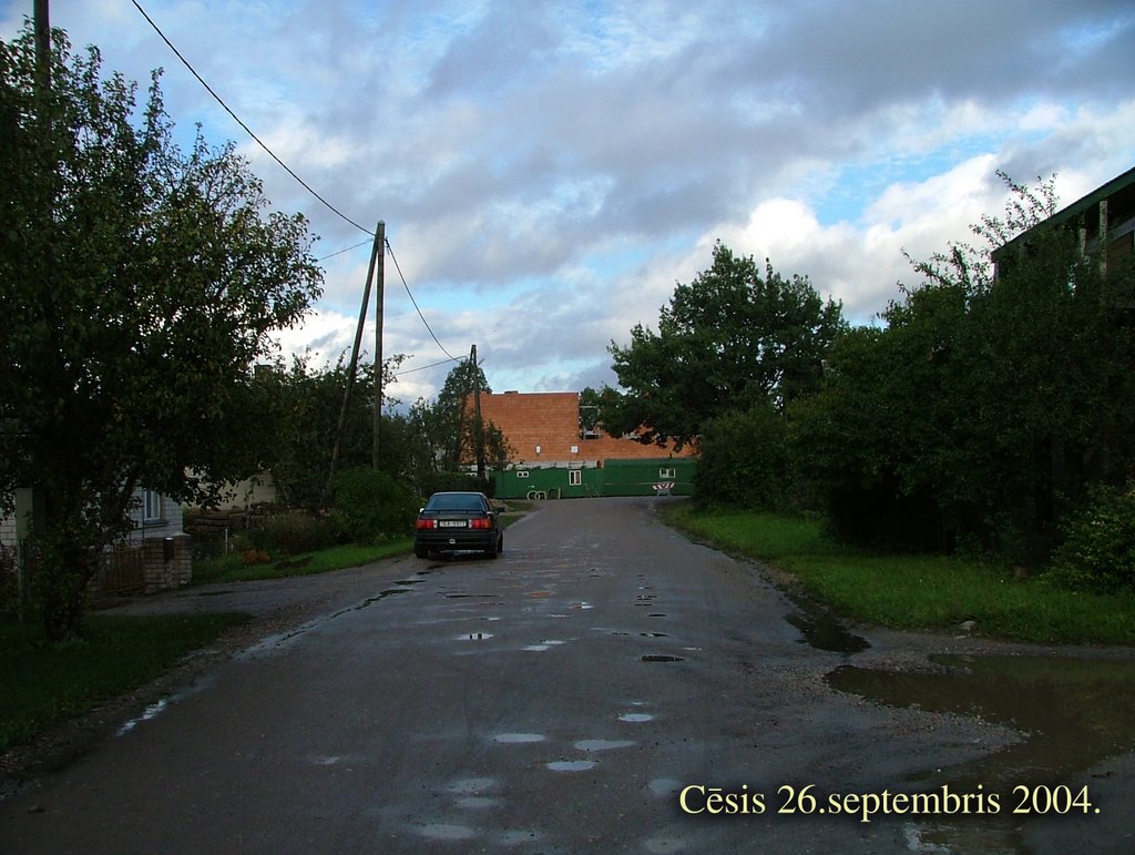 Cēsis, Cēsu pilsēta, Latvia by Ainārs Zandars