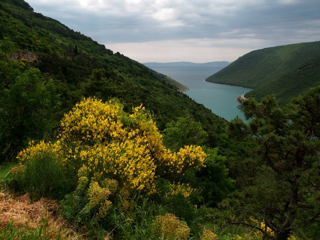 Bay of Plomin by Juraj Vidoni