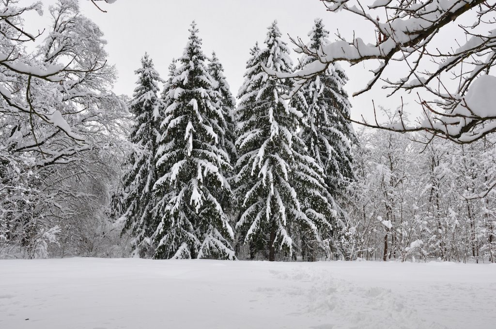 Pleven, Bulgaria by Славейко Мирков