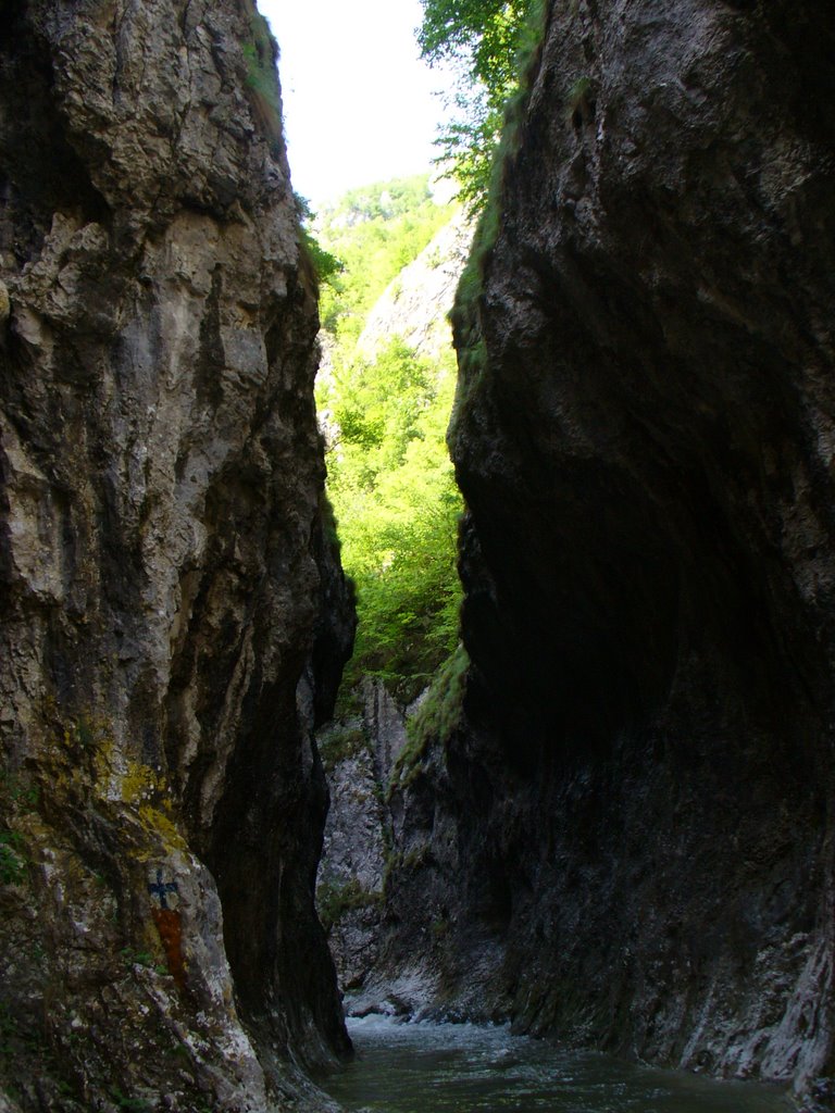 Ramet, Romania by Alin S.