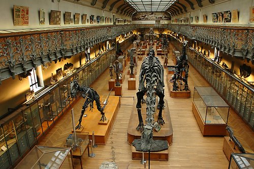 Musée National d'Histoire Naturelle by Photo8