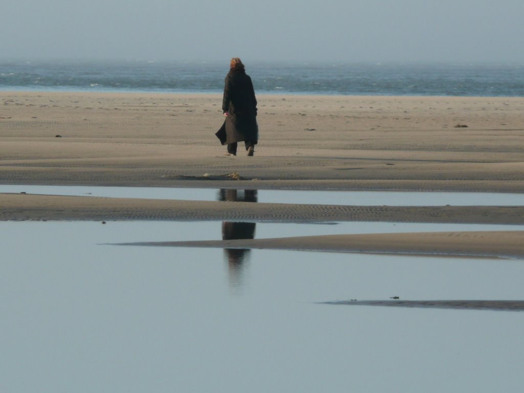 Holland-Texel by eremurus