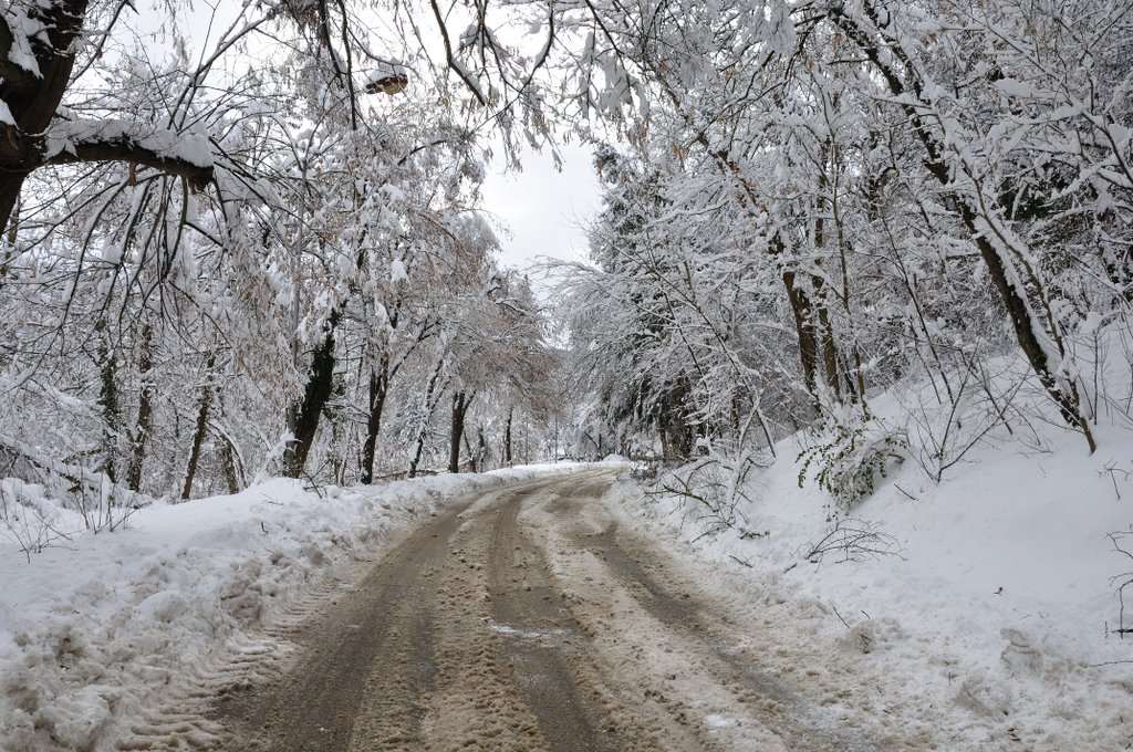 Pleven, Bulgaria by Славейко Мирков