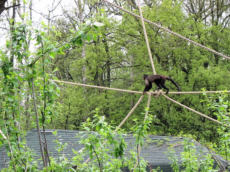 Maksimir zoo by Mentira