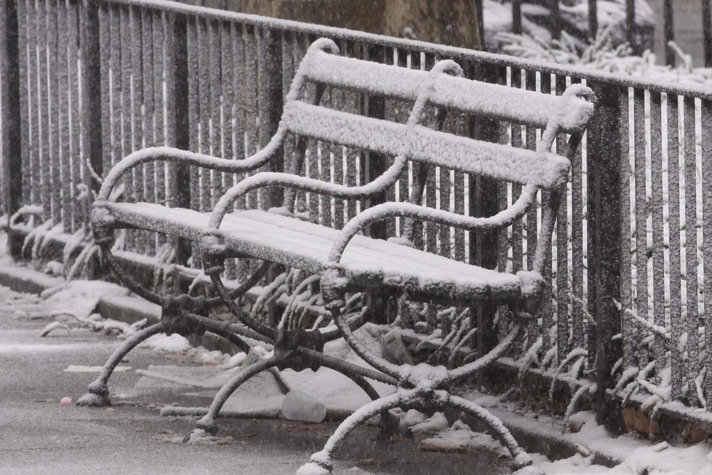 SNOW BEANCH AT SEWARD PARK ESSEX ST AND CANAL ST by SANTIAGO A.BAEZ