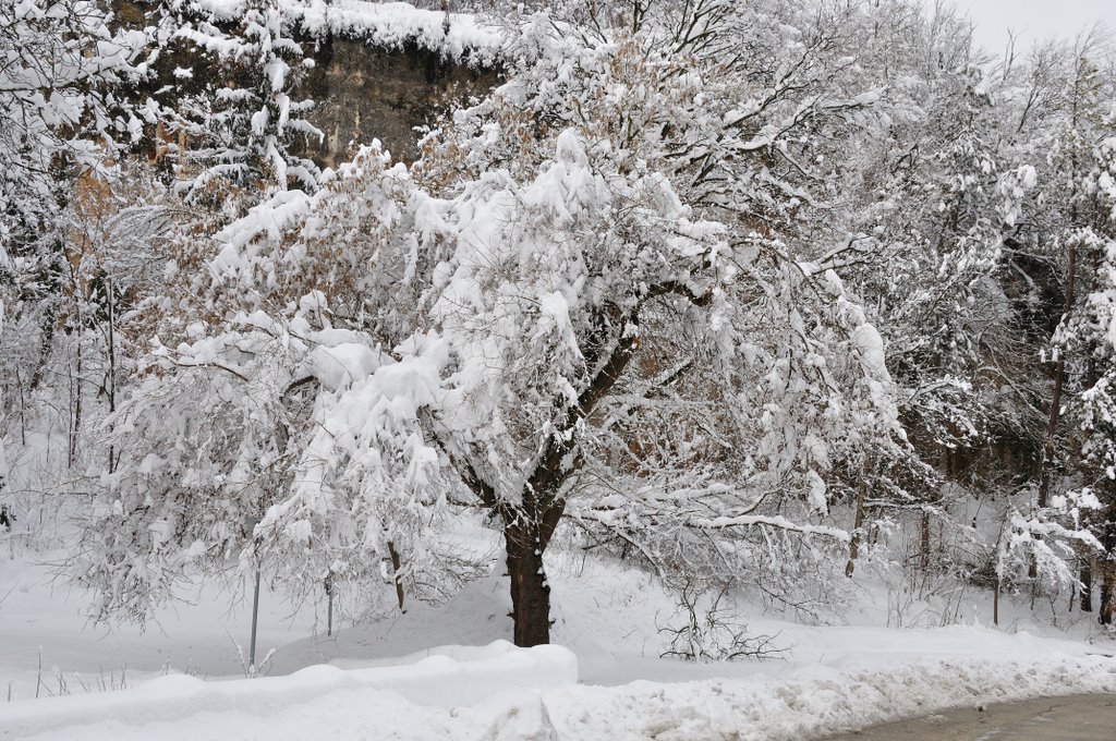 Pleven, Bulgaria by Славейко Мирков