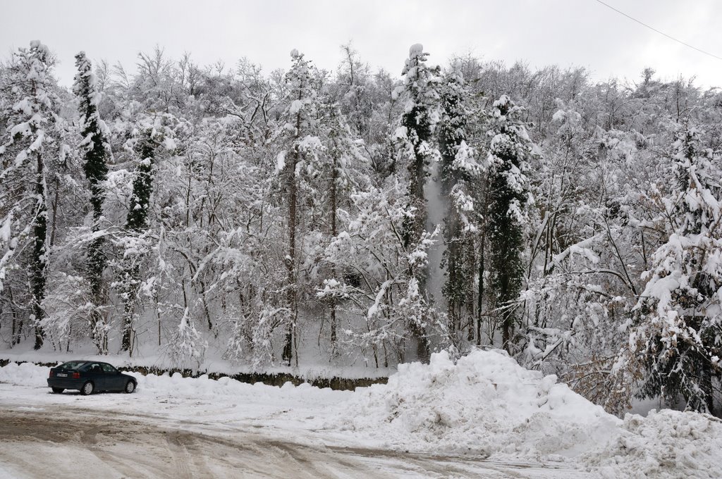 Pleven, Bulgaria by Славейко Мирков