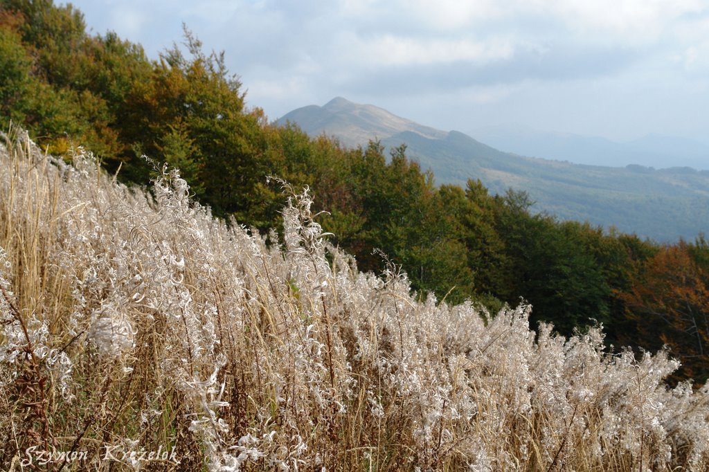 Bieszczady, Połonina Wetlińska - widok na Połoninę Caryńską by krezul