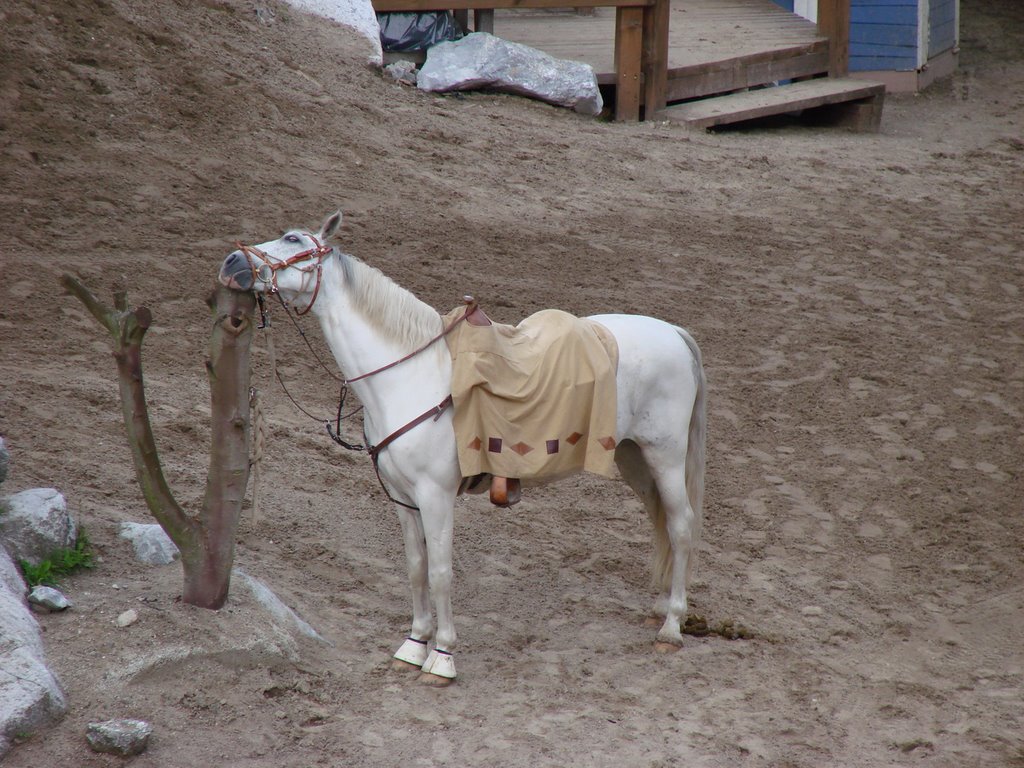 Freilichttheater am Kalkberg, Karl-May-Spiele, "Winnetou und Old Firehand ", 2008 by Dan-Fan