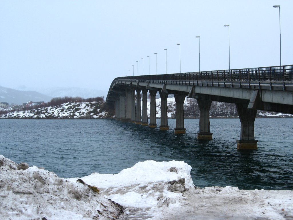 Stokmarknes, Norway by Alberto  soza