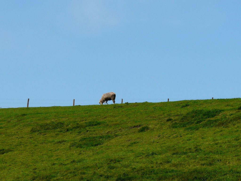 Arnuero, Cantabria, Spain by Pepe Señor