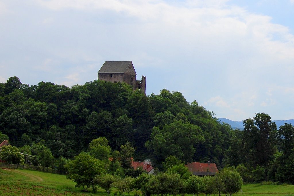 Zamek Świny by Maciek Wegrzyn