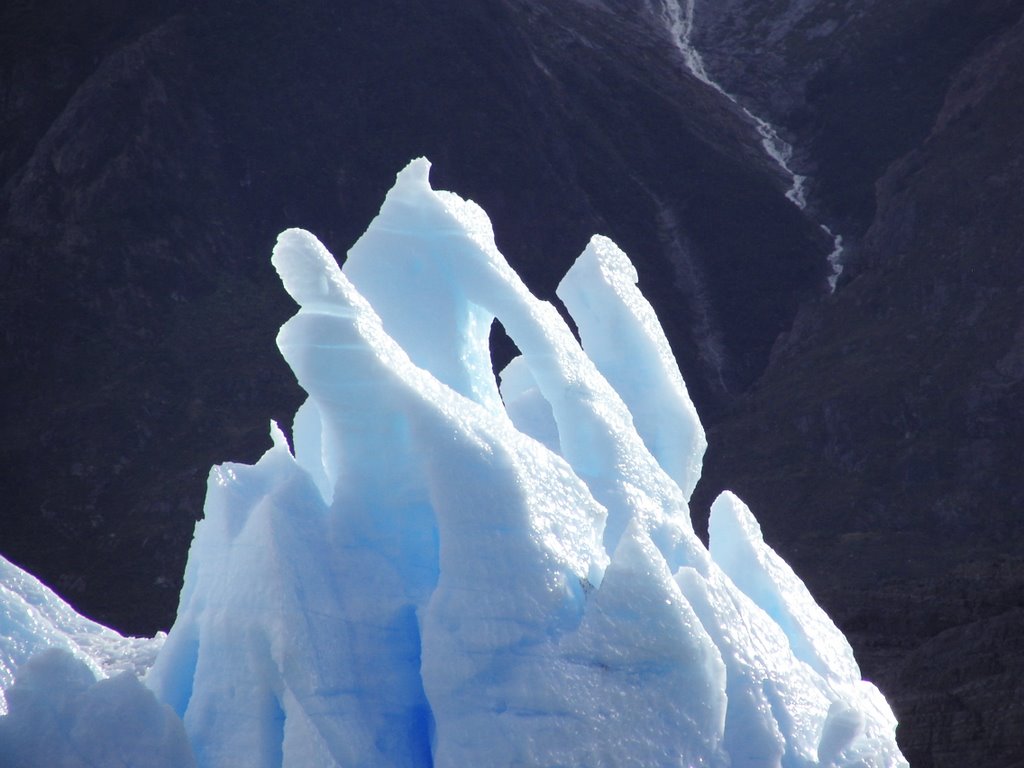 Grey Glacier like frozen fingers by horst2008