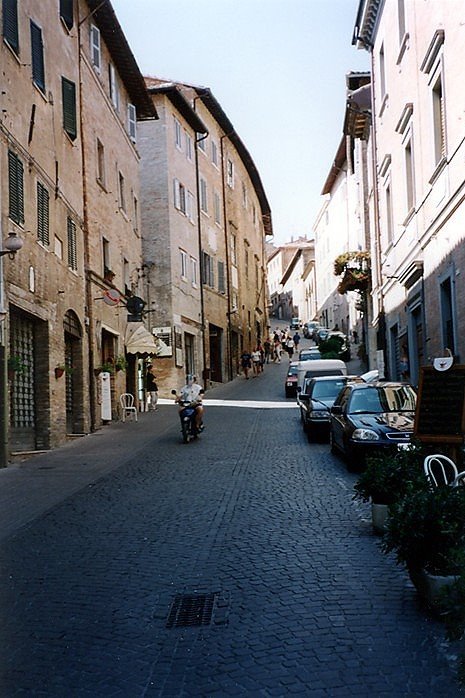 Urbino - Via Raffaello by MarkusMark