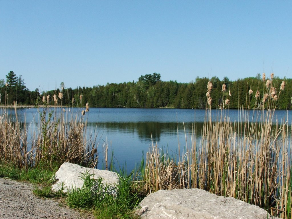 Palgrave Pond by windsorguy77