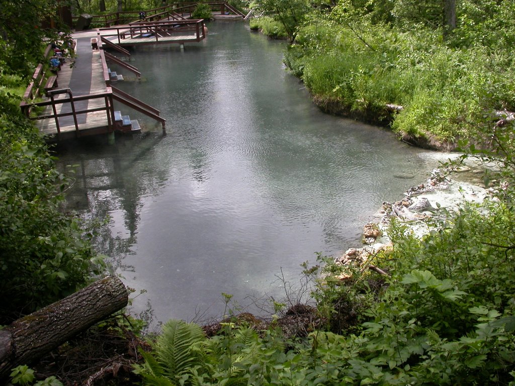 Liard Hotsprings Alpha Pool June 2006 by dlb