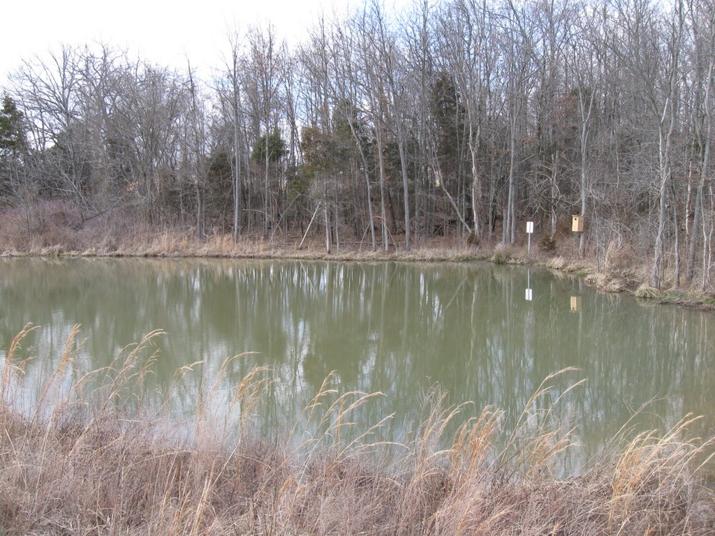 Baker Natural Area- Pond by Airmapper