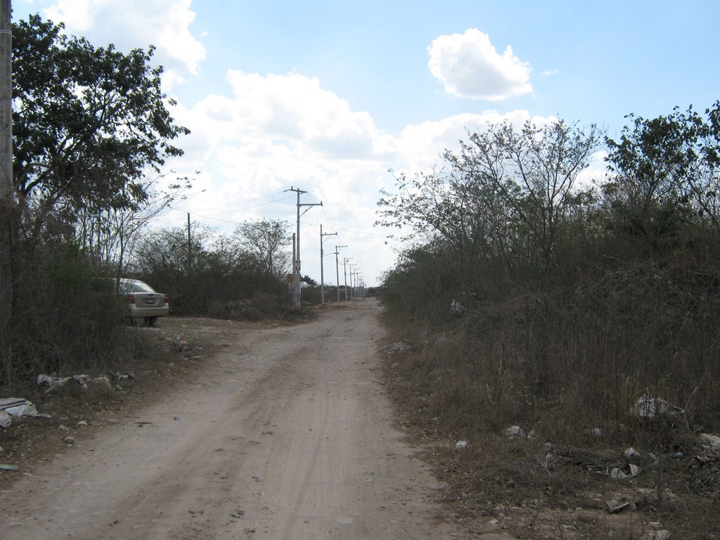 Calle 29 Colonia Nueva Yucatán by José Manuel Repetto Menéndez