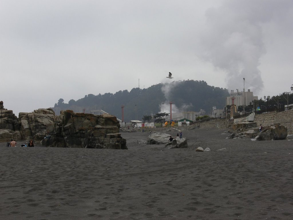 "Playa Los Gringos" and smoke of Cellulose Factory by claudio stenner