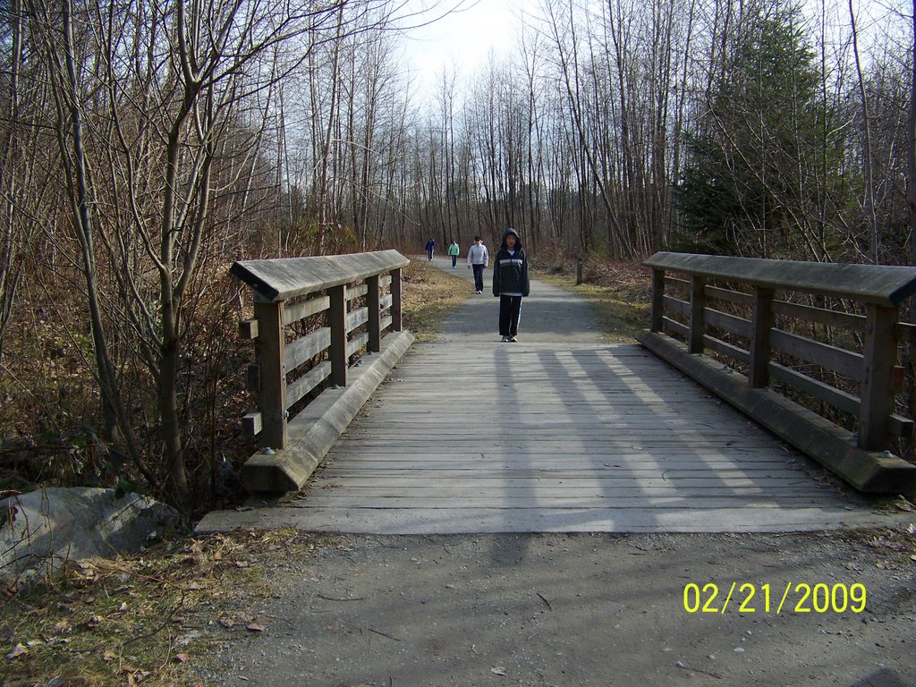 Shoreline Trail by Wester