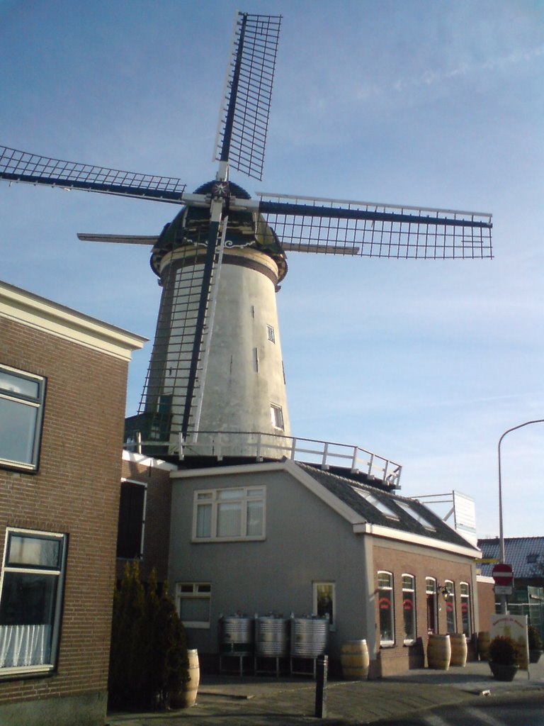 Holandia-Bodegraven-the windmill (wiatrak ) 2009r by michał rybka