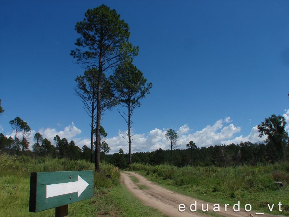 Los Reartes, provincia de Córdoba, Argentina by Eduardo Carneglia