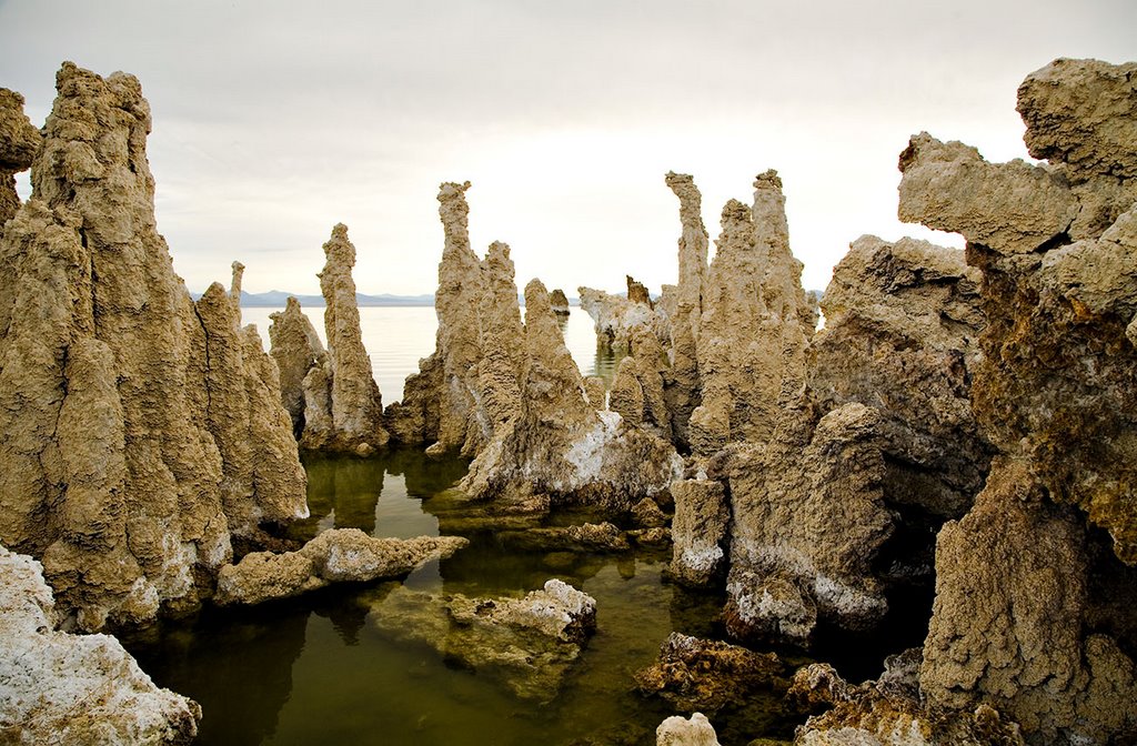 Mono Lake by Bill Scull