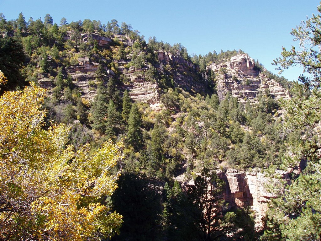 Grand Canyon from Grandview trail III by DJR