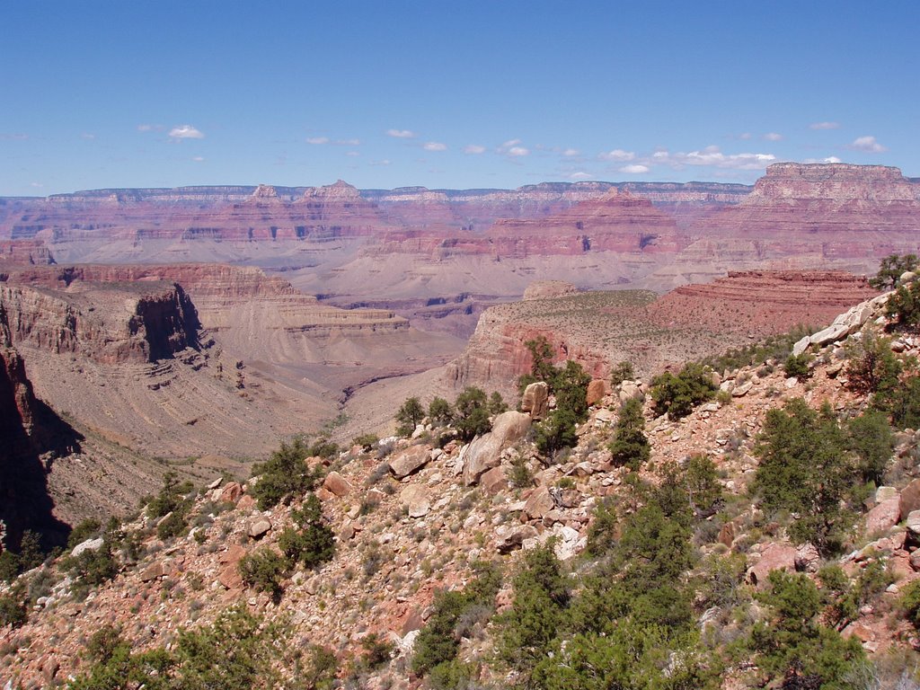 Grand Canyon Close to Page spring I by DJR