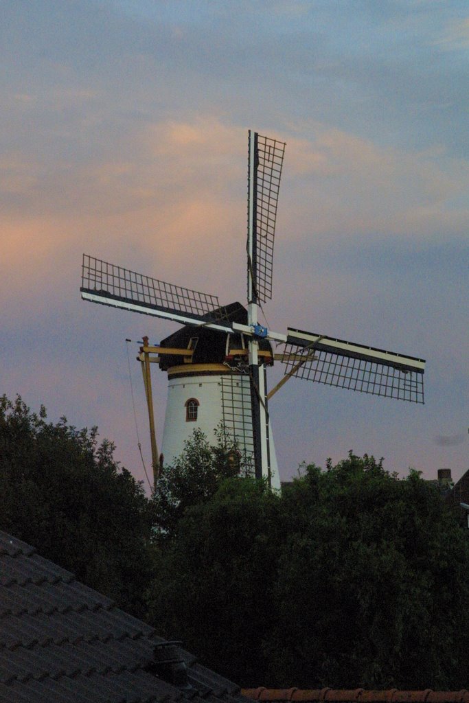 'Korenlust', molen Stellendam (1) by R.T.H. van der Wende