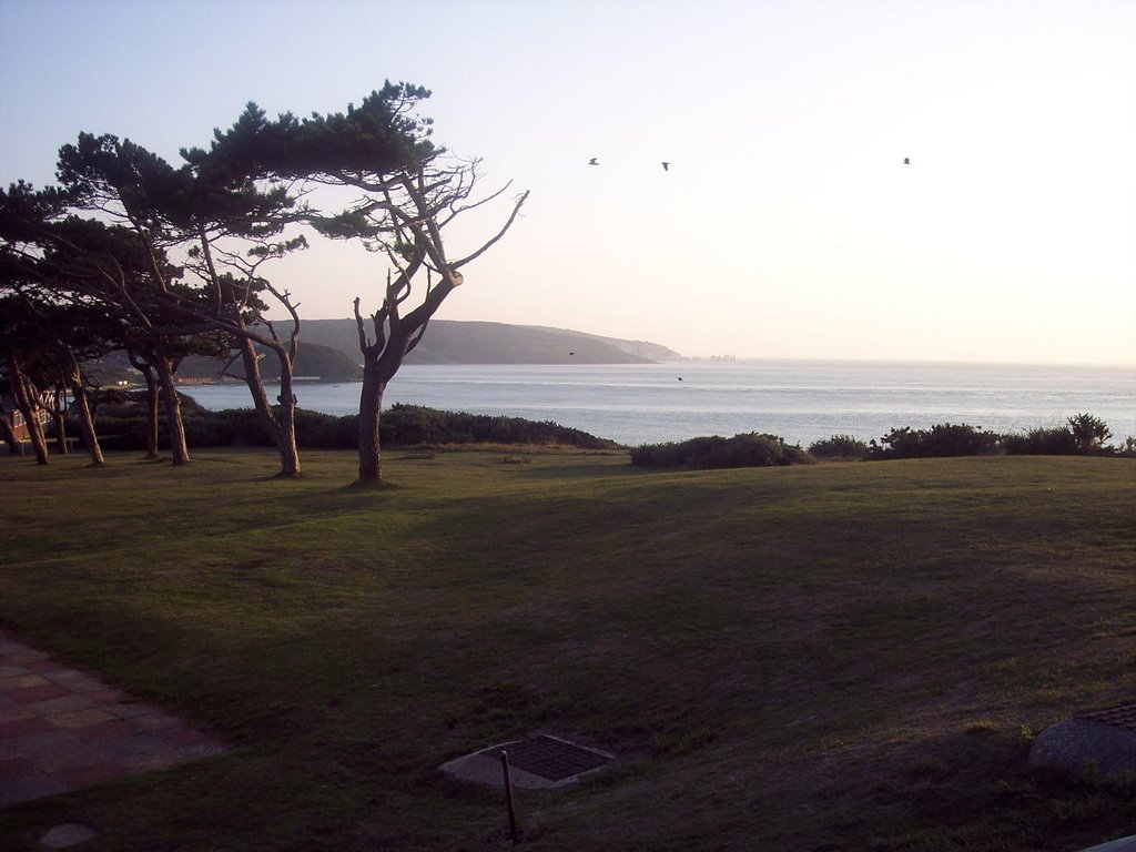 Looking towards the needles by s.millward