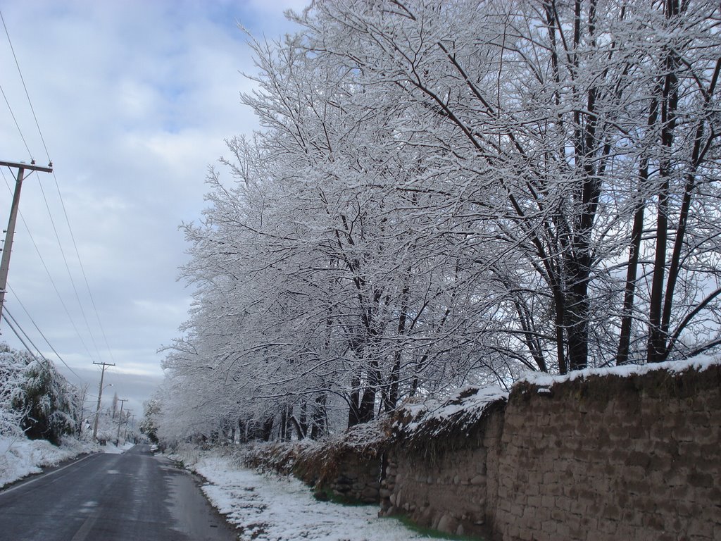 CALLE BRASIL EN INVIERNO by TECCONAT