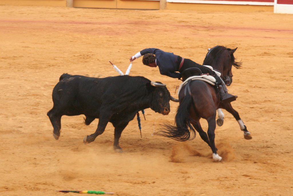 BANDERILLAS CORTAS 1 by pablotrivi