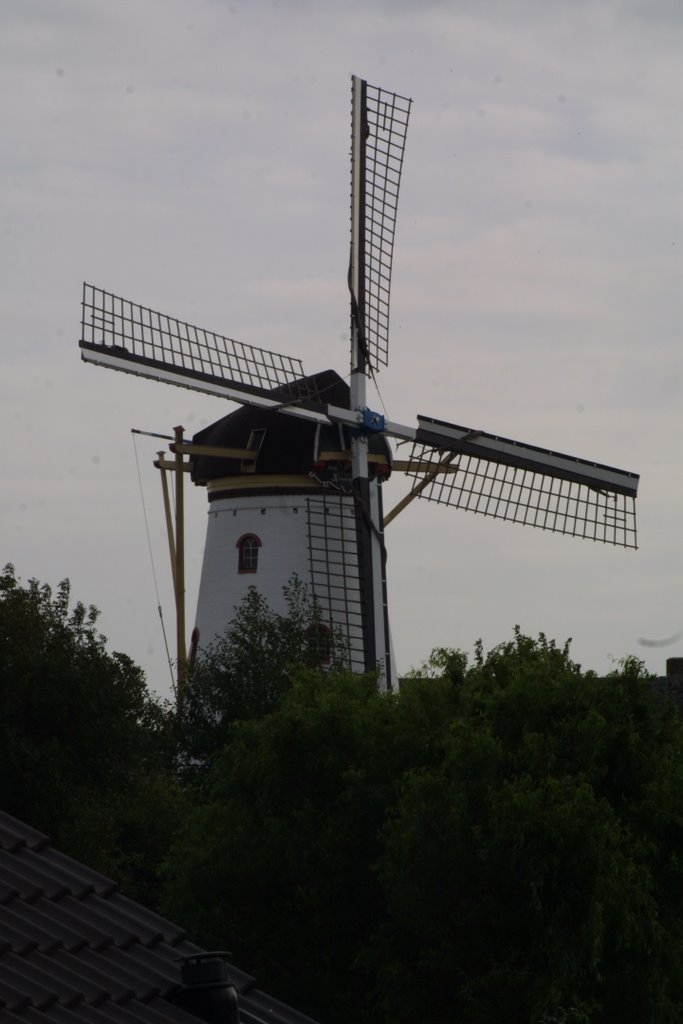 'Korenlust', molen Stellendam (11) by R.T.H. van der Wende