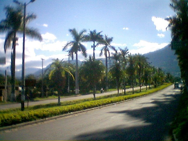 Fusagasugá Avenida de las Palmas by William Vasquez