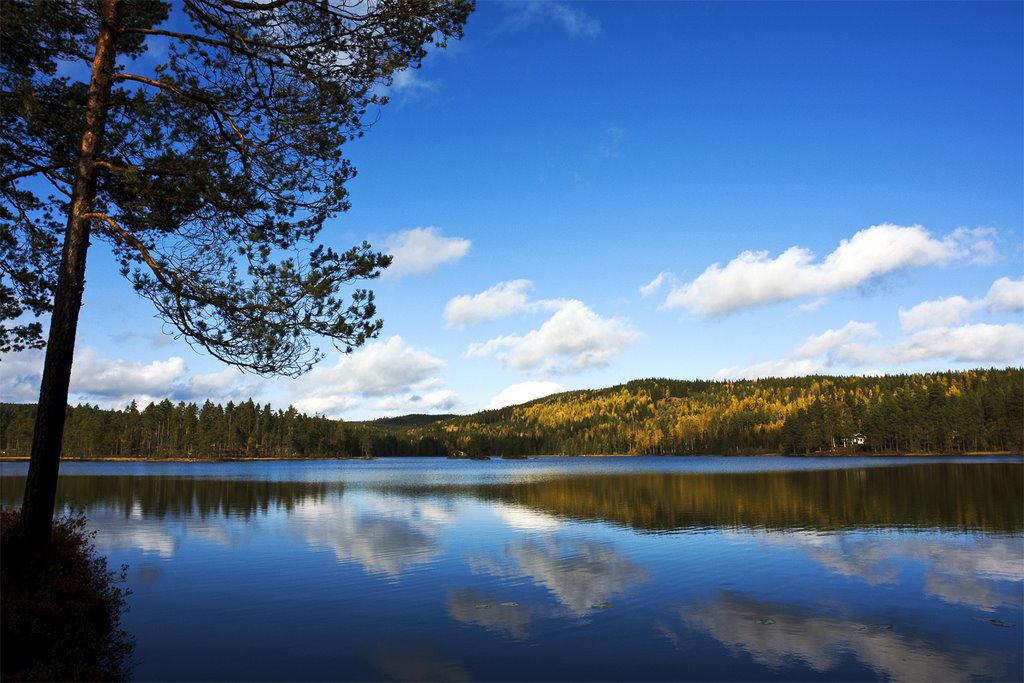 Autumnlake.Norra Långtjärn Hagfors Sweden by leolund