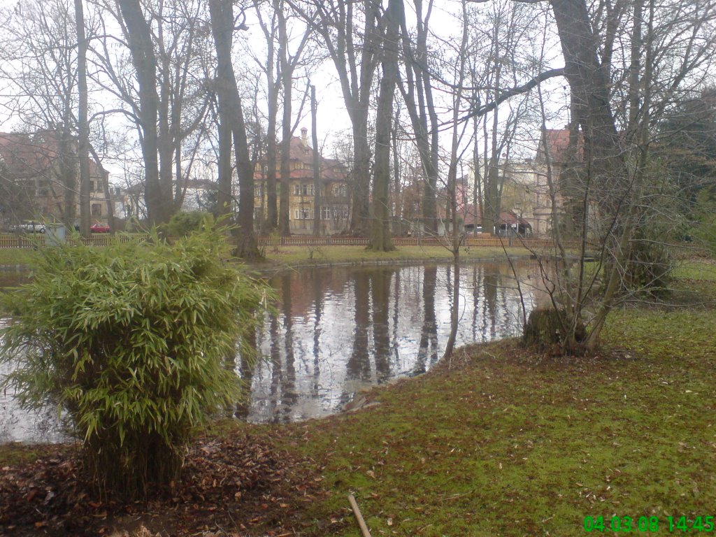 Schwabach stadtpark by EDDY